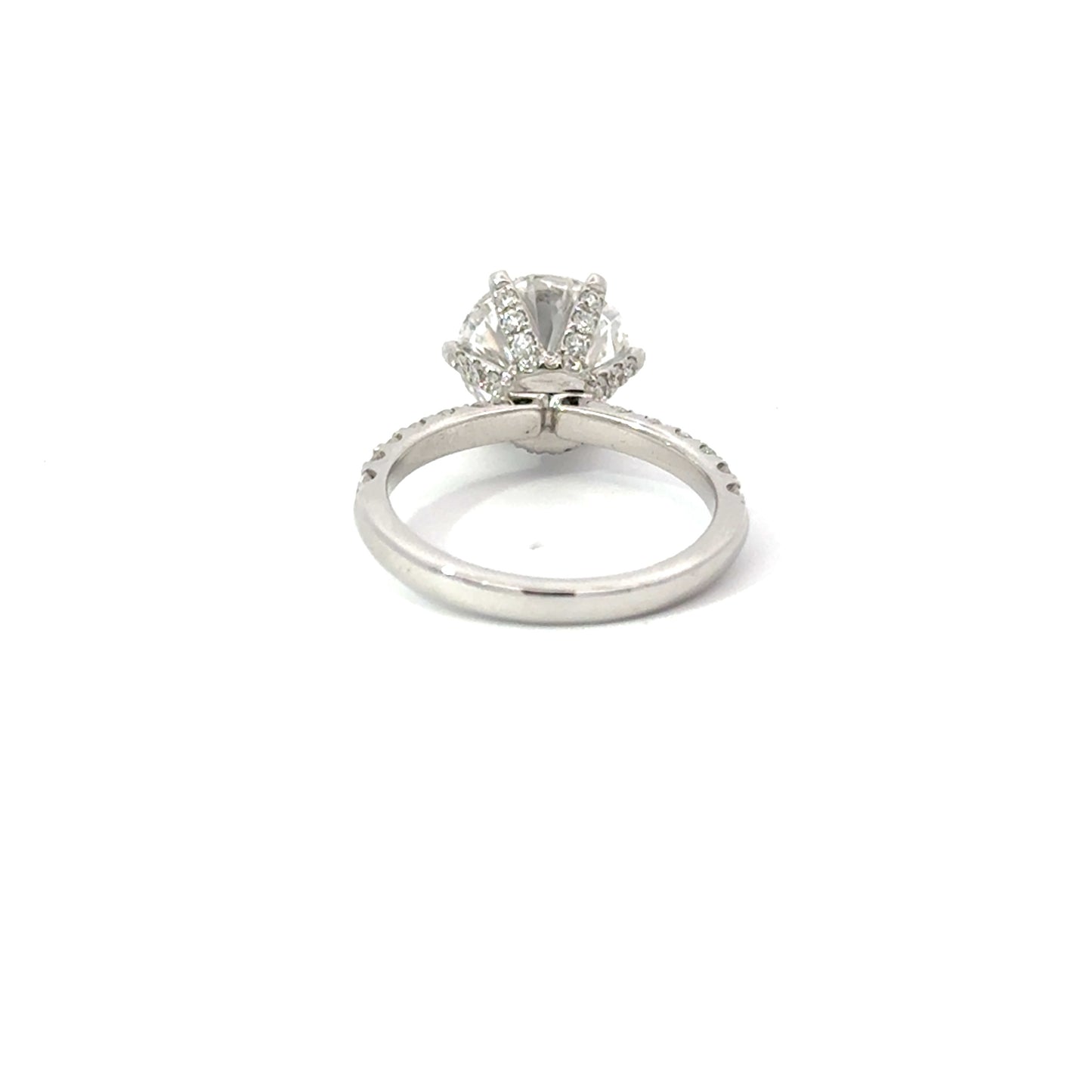 Round 3.04 E VS1 IDEXEX IGI | 18k White Gold + Full Prong + Wrap Around Halo + 50% Pave Setting